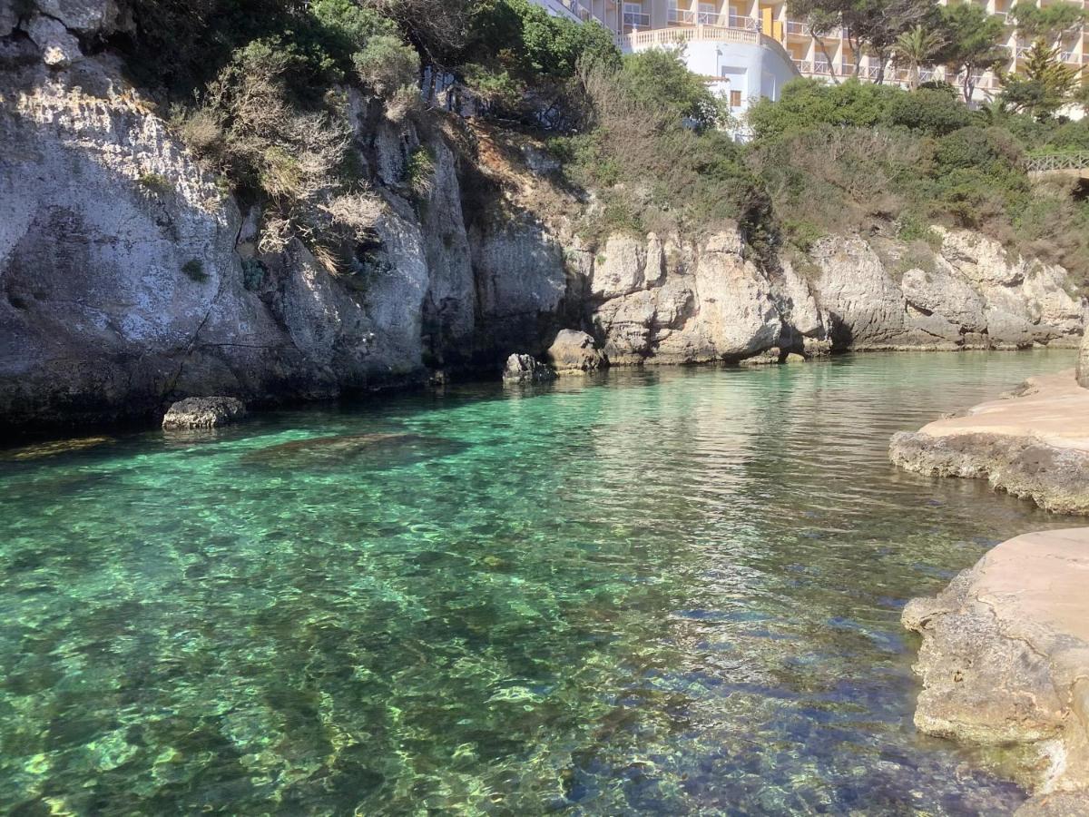 Fonoll Marí Cala en Forcat Exterior foto